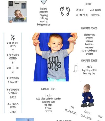 Baby's Year One Infographic