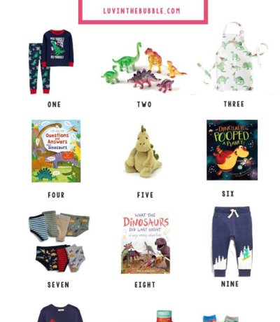 Dinosaur Gifts for Toddlers